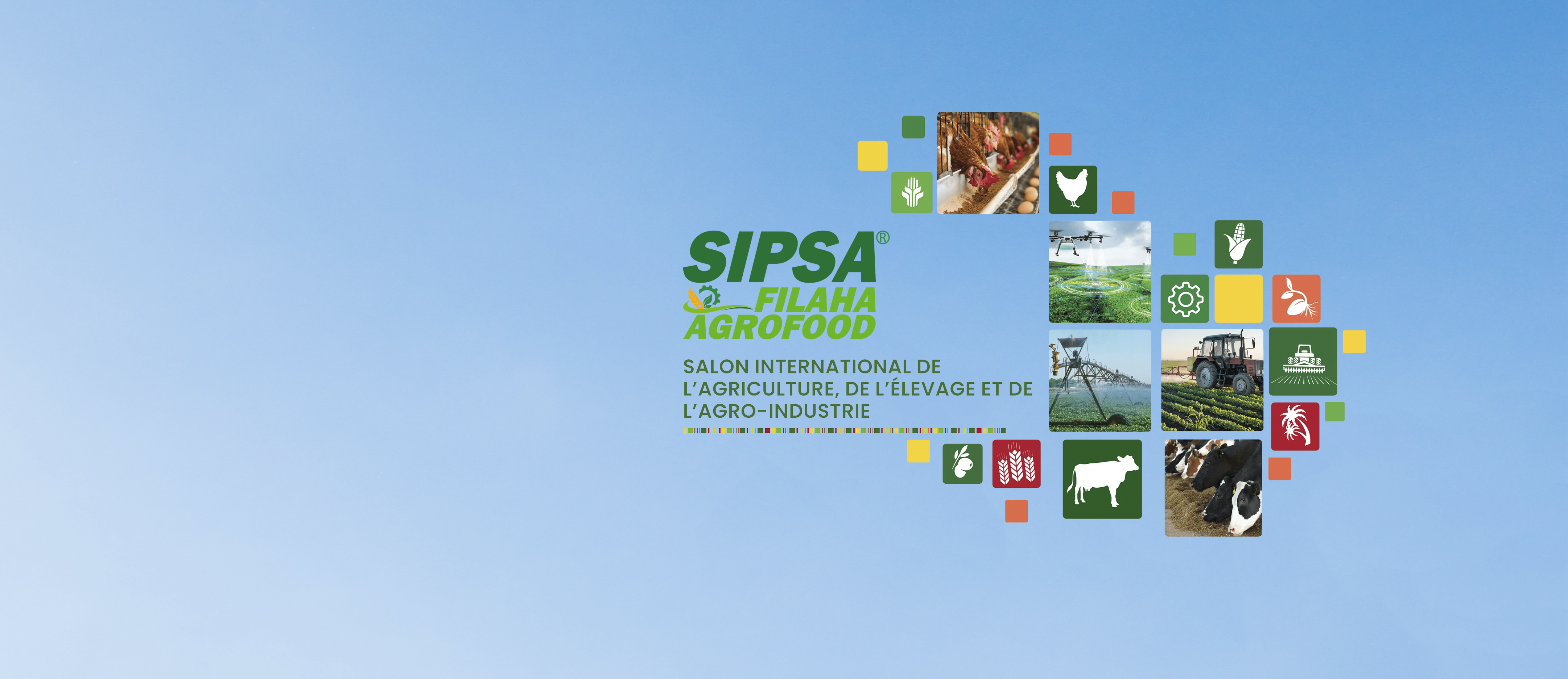 Mediterranean Feed Industry